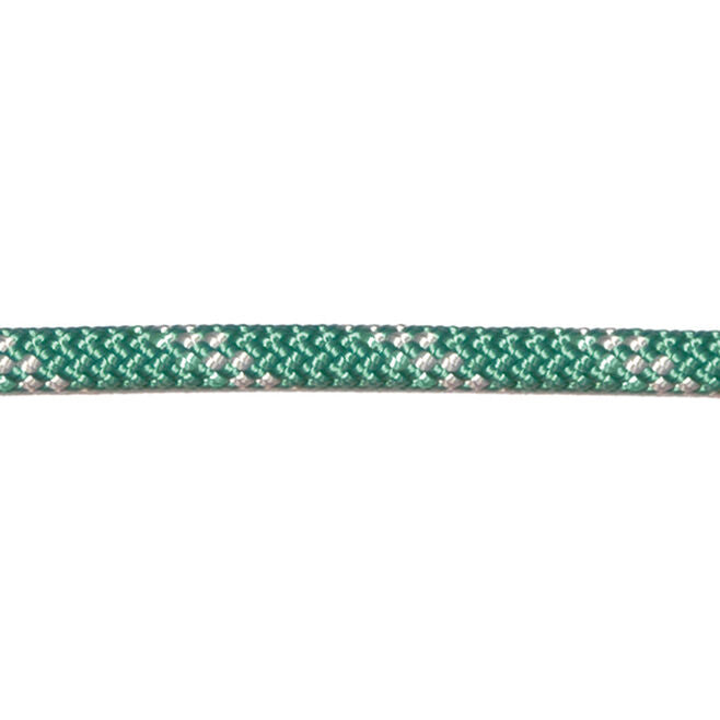 Globe Speedline rope 200ft