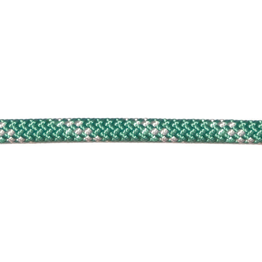 Globe Speedline rope 150ft